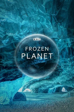 Frozen Planet poster