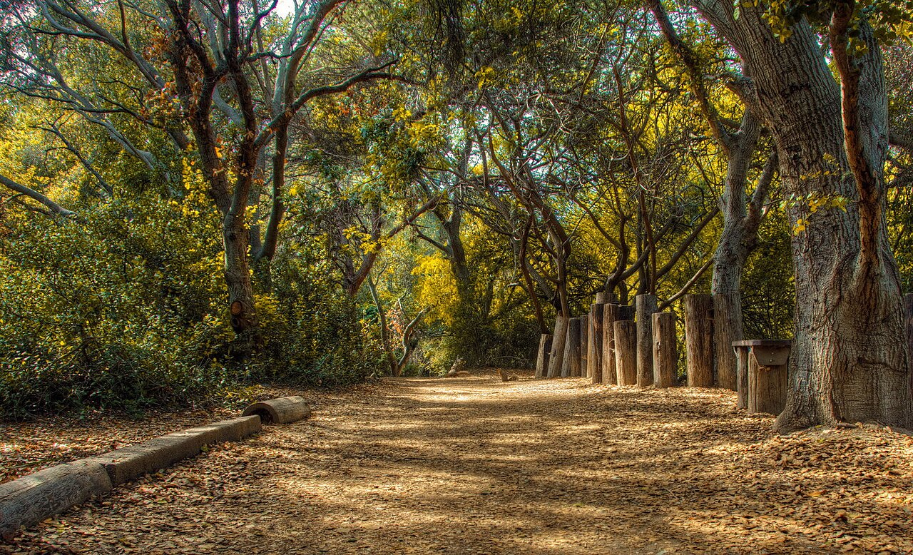 Long Beach - Squirrel On The Path