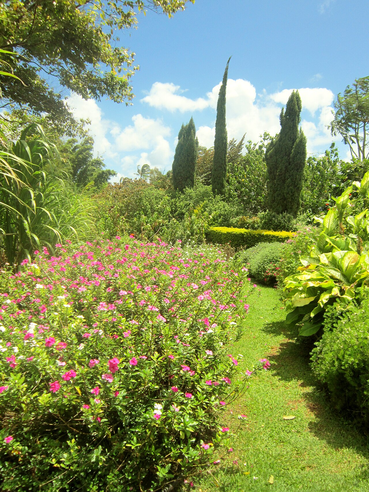 Jurassic Park filming location: National Tropical Botanical Garden
