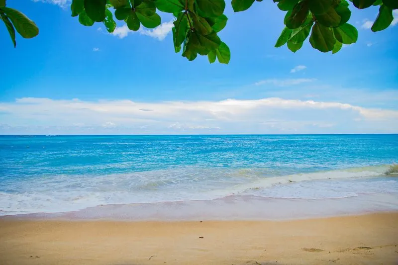 Papailoa Beach – After leaving the site of the plane crash the islanders set up a beach camp here.