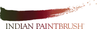 Indian Paintbrush