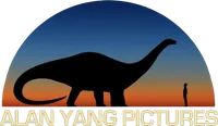 Alan Yang Pictures